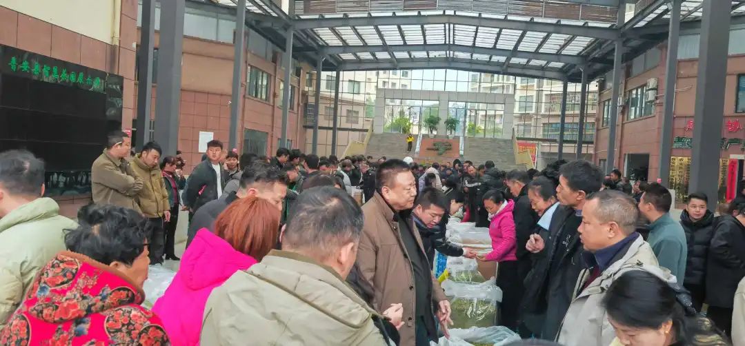 好消息！2025贵州早春茶交易中心开市啦