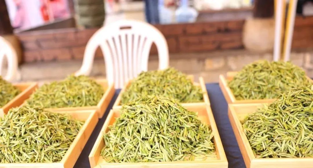 胡继承：黔茶让全中国共享，一定有贞丰的贡献