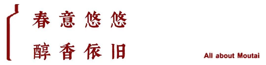茅台花样营销，与“她”奔赴美好生活