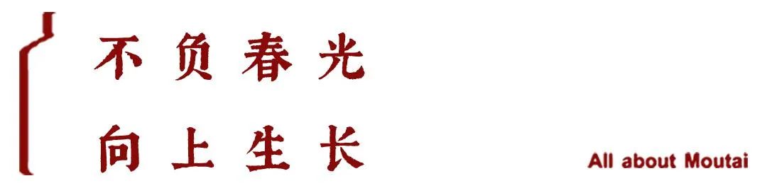 茅台花样营销，与“她”奔赴美好生活