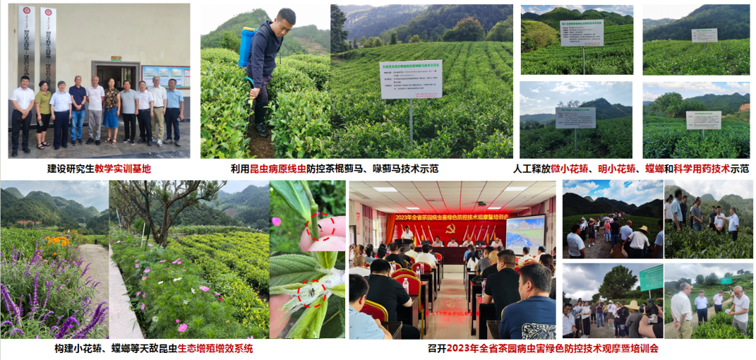 宋宝安：茶产业专家服务团要在服务中发现真问题，解决真问题
