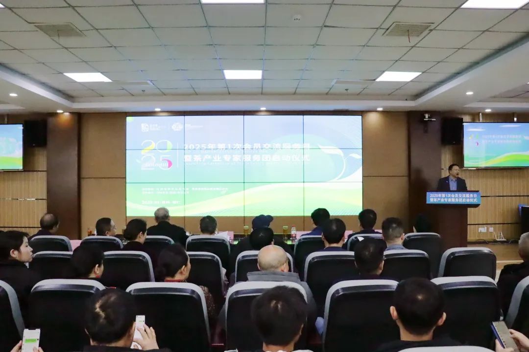 宋宝安：茶产业专家服务团要在服务中发现真问题，解决真问题