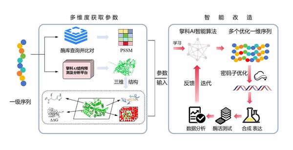 擎科AI平台破解酶工程难题，助力产业升级
