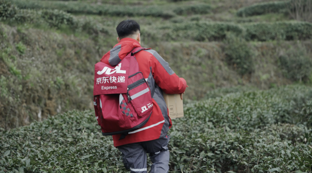 凌晨采摘最快当晚收货！京东快递春茶寄递方案“护航”鲜叶出山