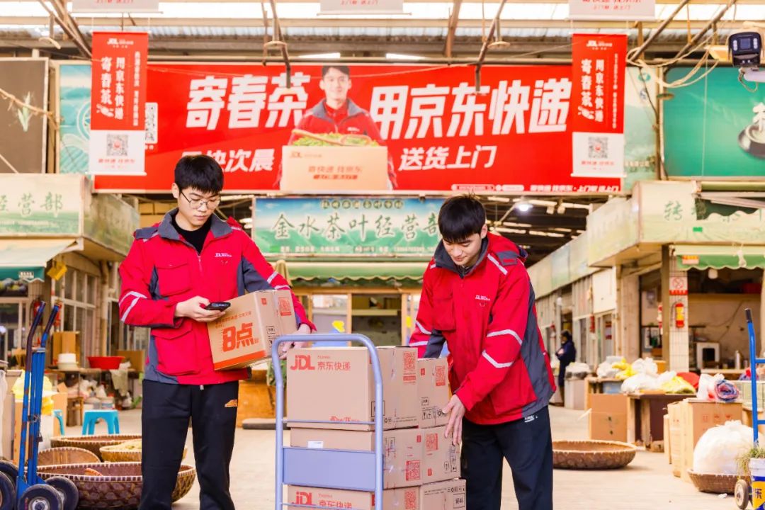 凌晨采摘最快当晚收货！京东快递春茶寄递方案“护航”鲜叶出山