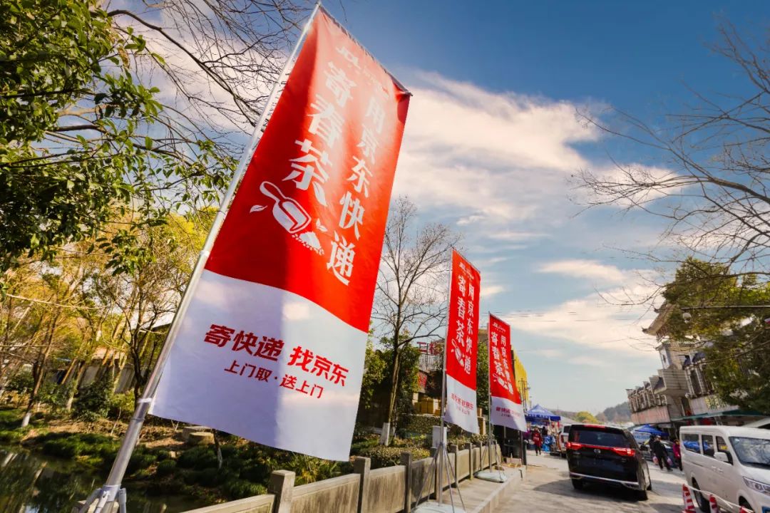 凌晨采摘最快当晚收货！京东快递春茶寄递方案“护航”鲜叶出山