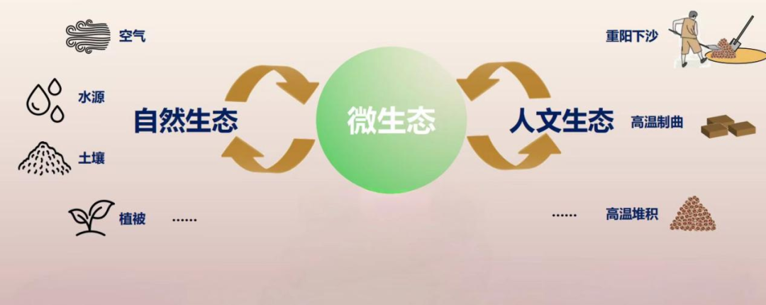 发展新质生产力的茅台实践与思考