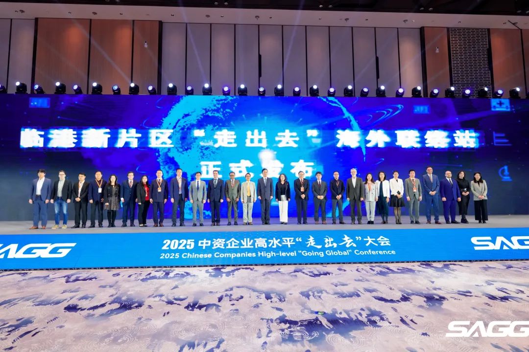 新片区出海，与世界共赢！临港新片区2025中资企业高水平“走出去”大会成功举行
