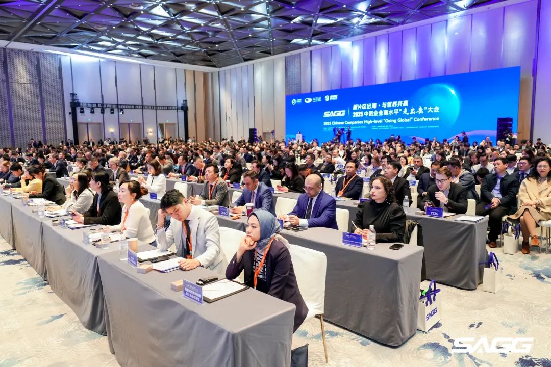 新片区出海，与世界共赢！临港新片区2025中资企业高水平“走出去”大会成功举行