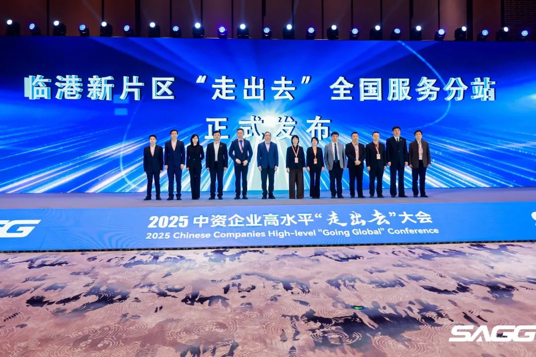 新片区出海，与世界共赢！临港新片区2025中资企业高水平“走出去”大会成功举行