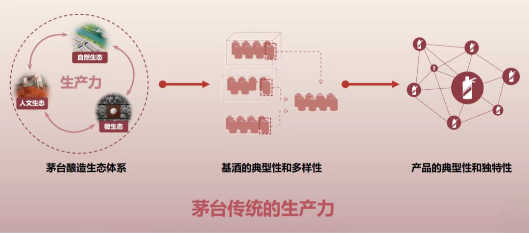 发展新质生产力的茅台实践与思考