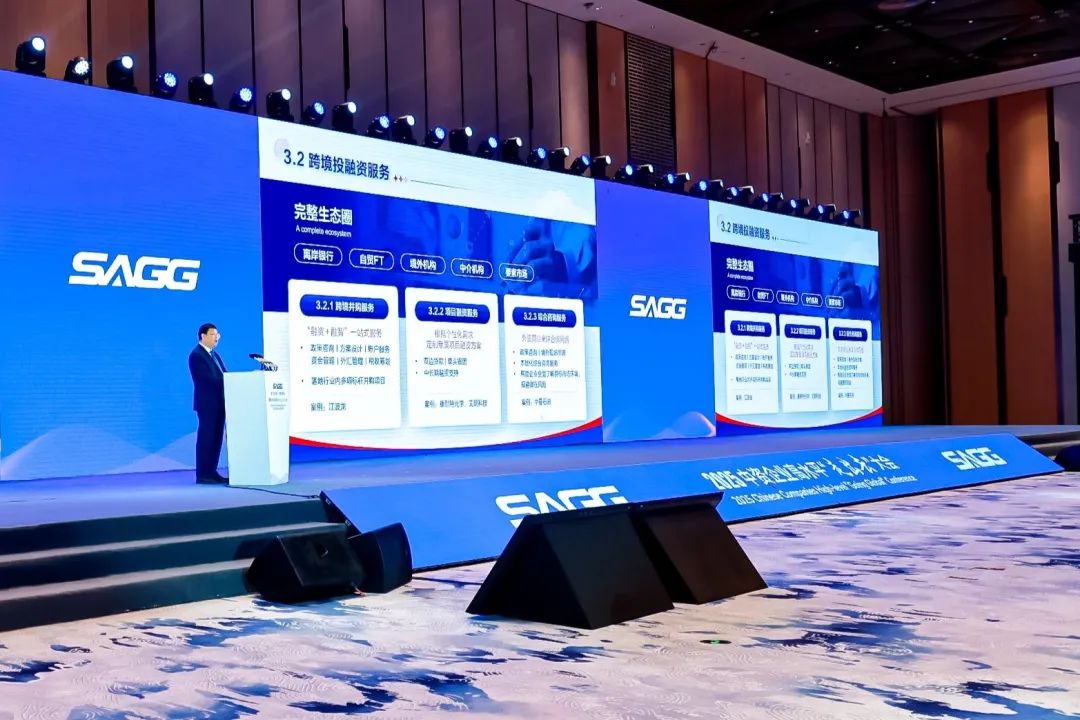新片区出海，与世界共赢！临港新片区2025中资企业高水平“走出去”大会成功举行