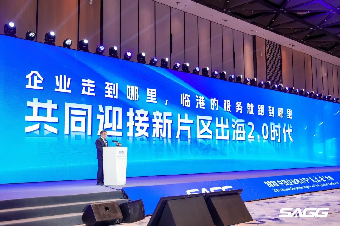新片区出海，与世界共赢！临港新片区2025中资企业高水平“走出去”大会成功举行