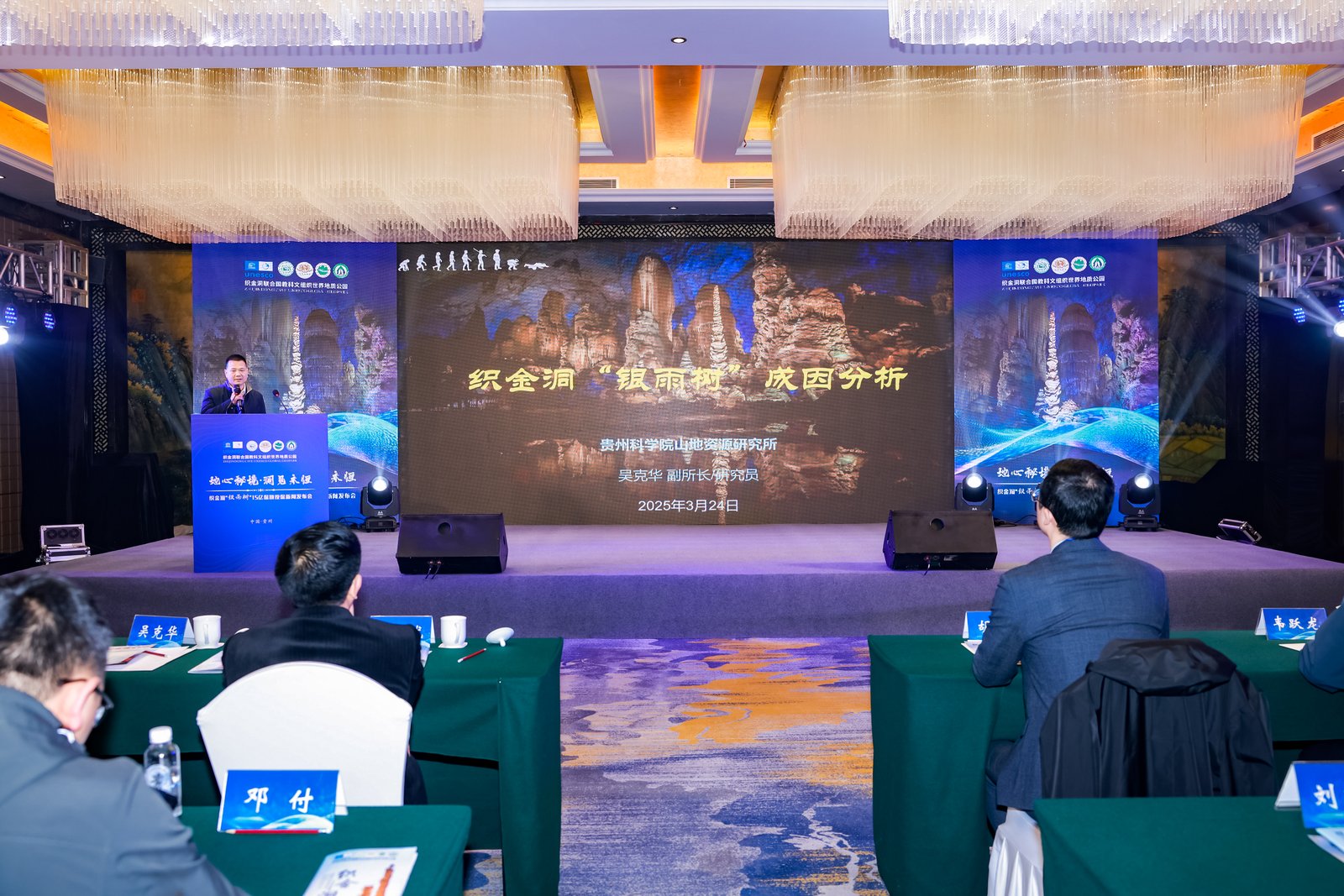 中国首创！织金洞「银雨树」获15亿保额投保 共筑自然遗产保护里程碑