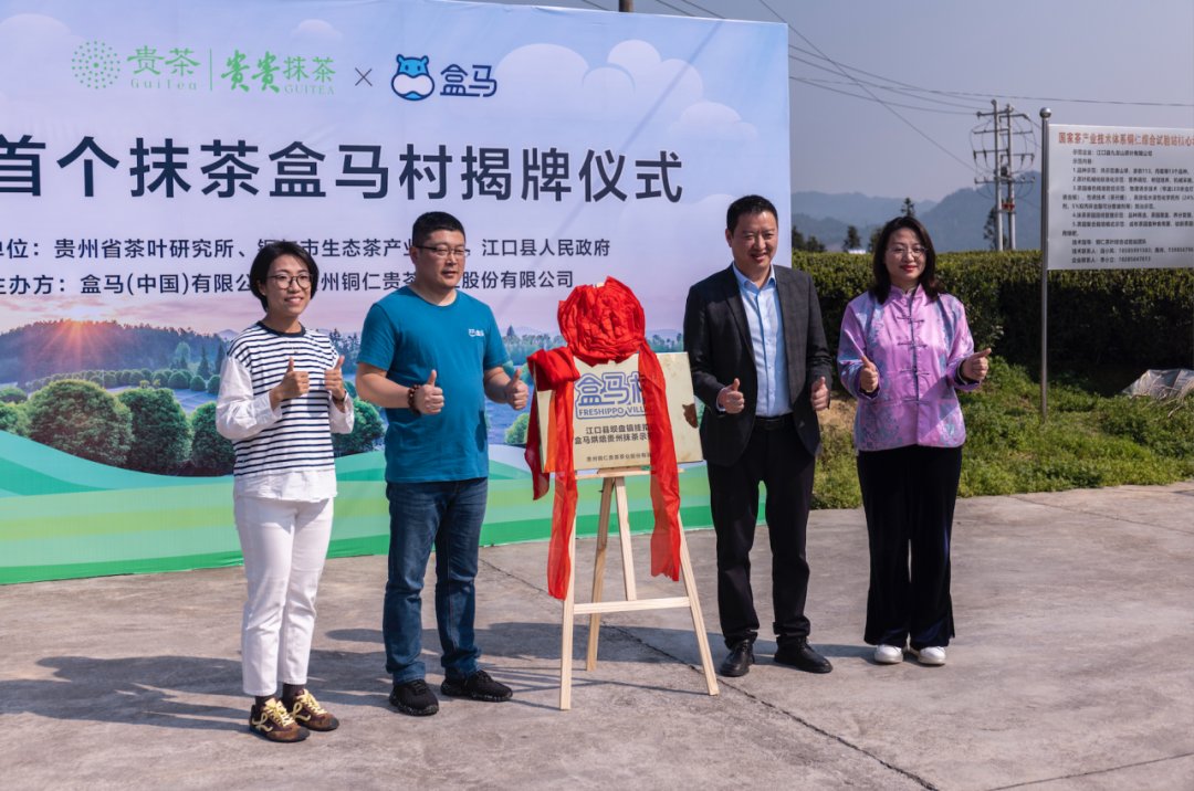 “绿旋风”吹醒梵净山！全国首个“抹茶盒马村”落地贵州铜仁，解锁乡村振兴新密码