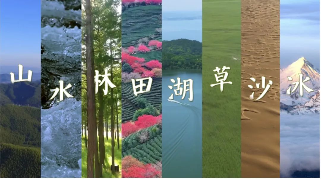土地赠予我拥有，也赠予我回敬——清明时节阅览《多情的土地》