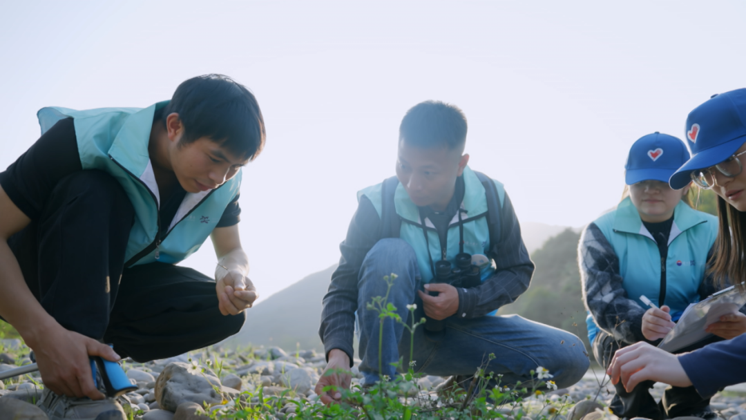 土地赠予我拥有，也赠予我回敬——清明时节阅览《多情的土地》
