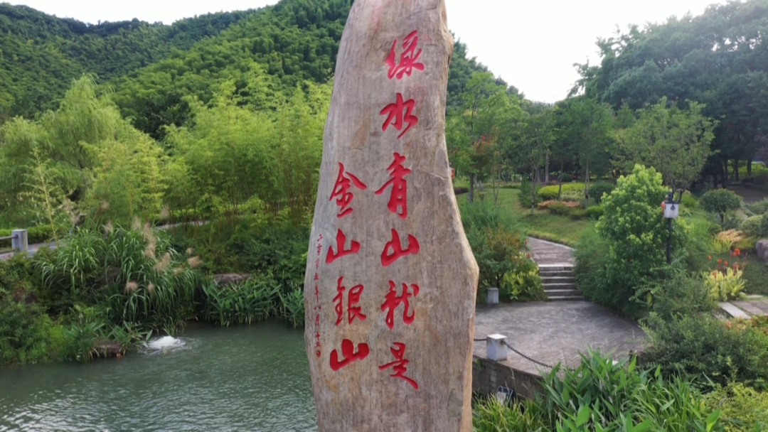 土地赠予我拥有，也赠予我回敬——清明时节阅览《多情的土地》