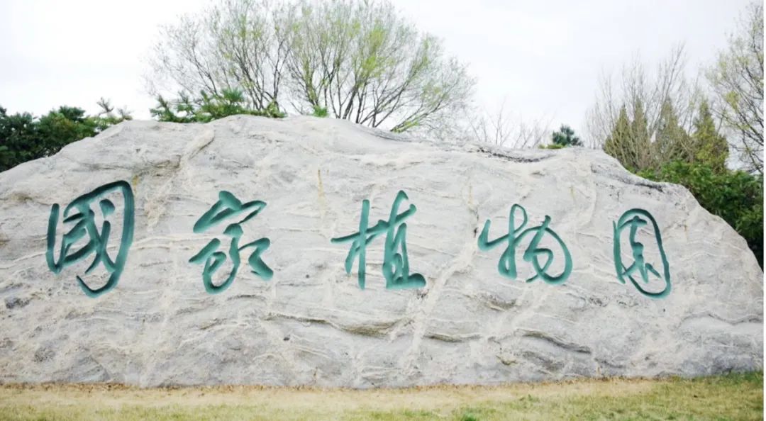 土地赠予我拥有，也赠予我回敬——清明时节阅览《多情的土地》