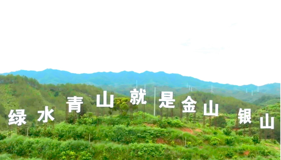 土地赠予我拥有，也赠予我回敬——清明时节阅览《多情的土地》