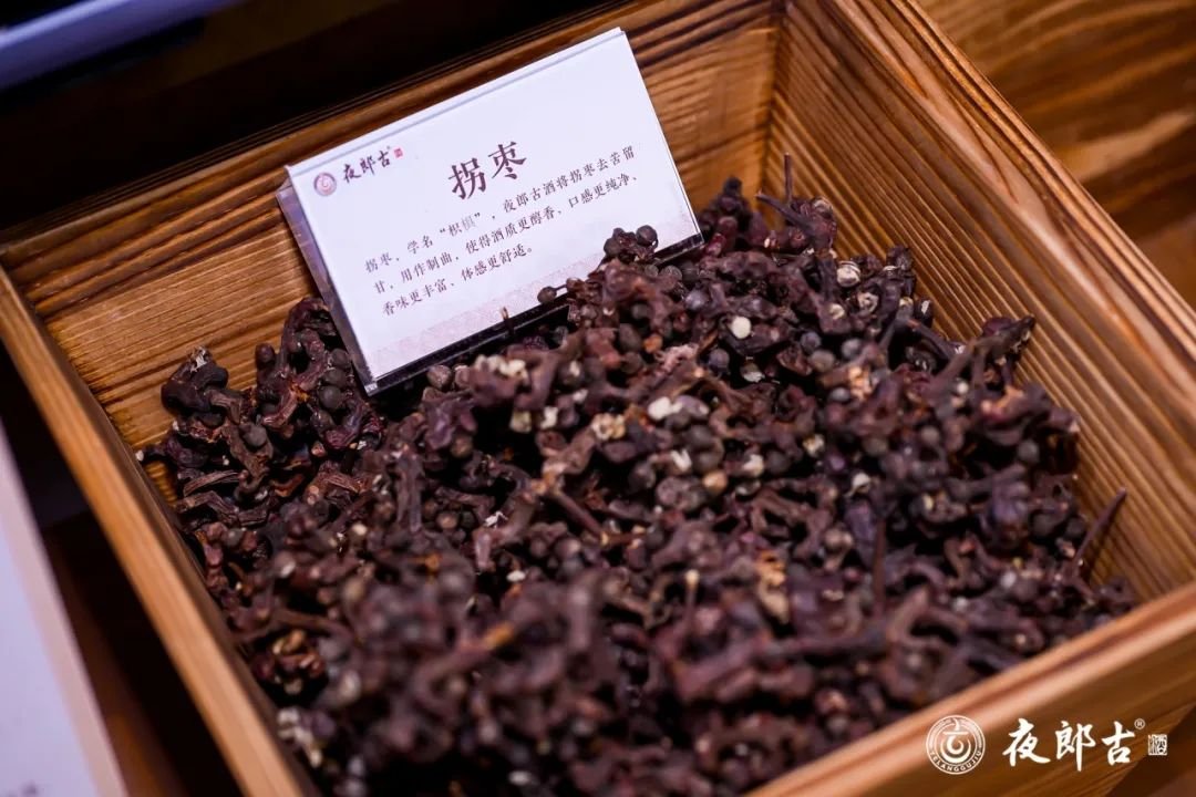 夜郎古酒业旬阳拐枣基地落成