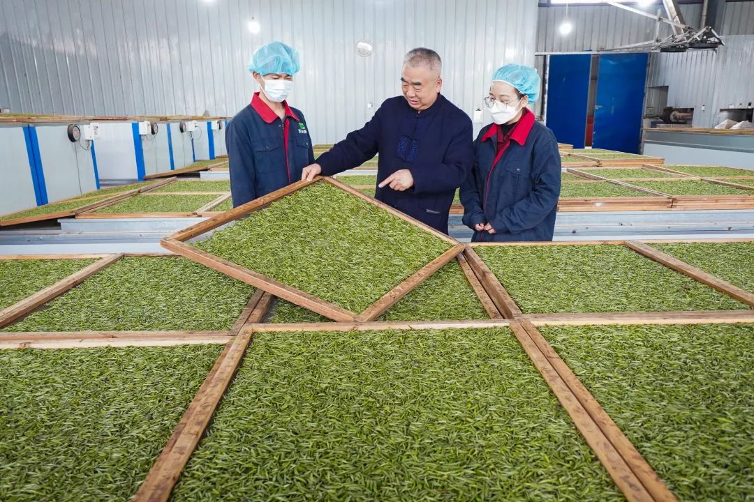2025贵州新茶饮产品创新大赛丨 茶叶基底篇—— 贵州非遗•湄潭回锅香黄茶