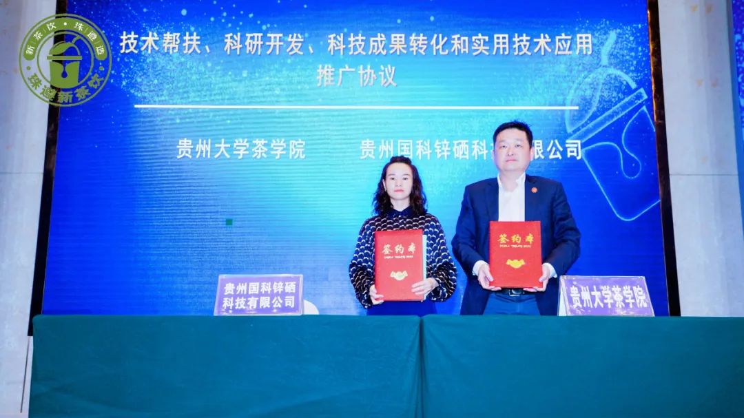 从“流量竞争”到“价值竞争”：贵州新茶饮产业的黄金拐点