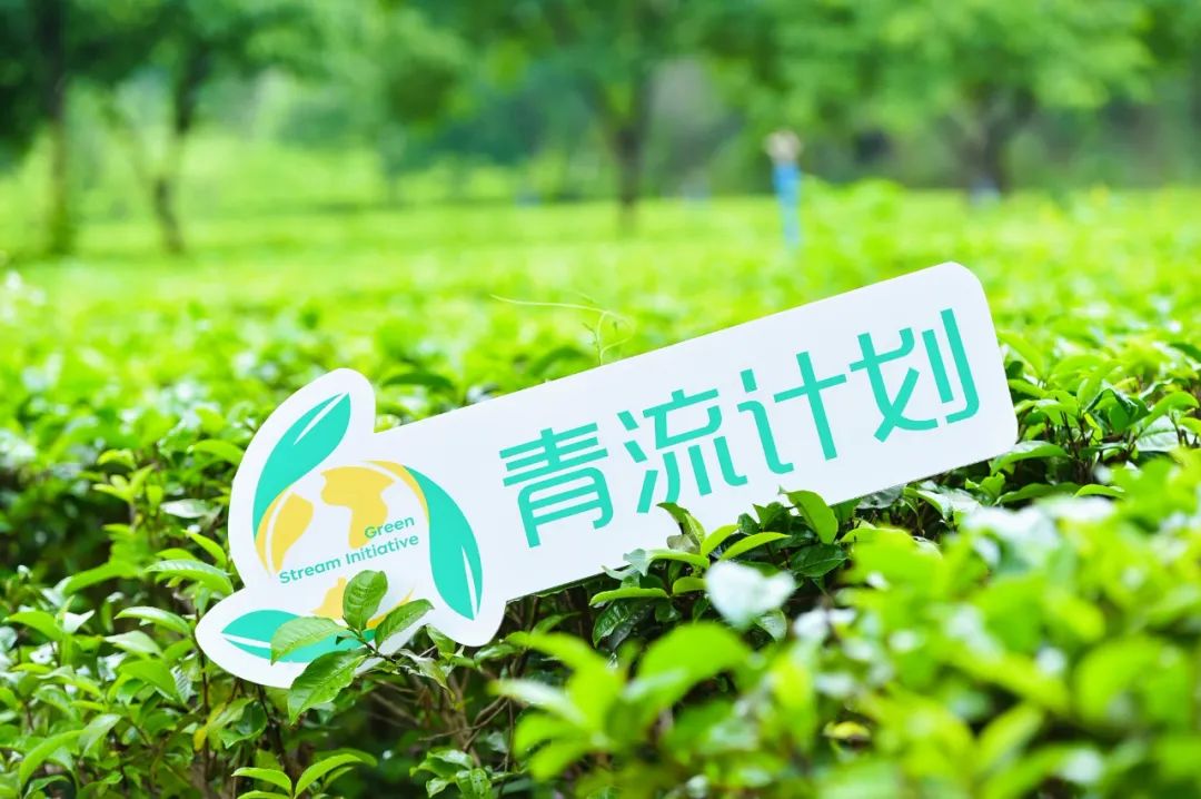 我们的地球 我们的力量｜青流计划世界地球日&世界读书日活动掠影