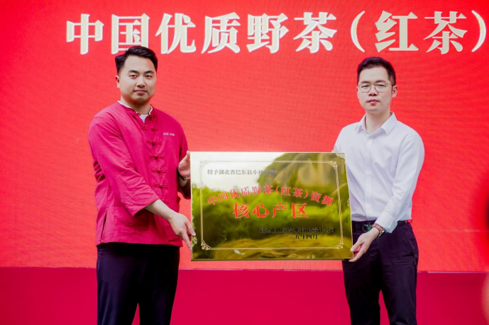 金骏眉创始20周年：以创新引领中国红茶高质量发展