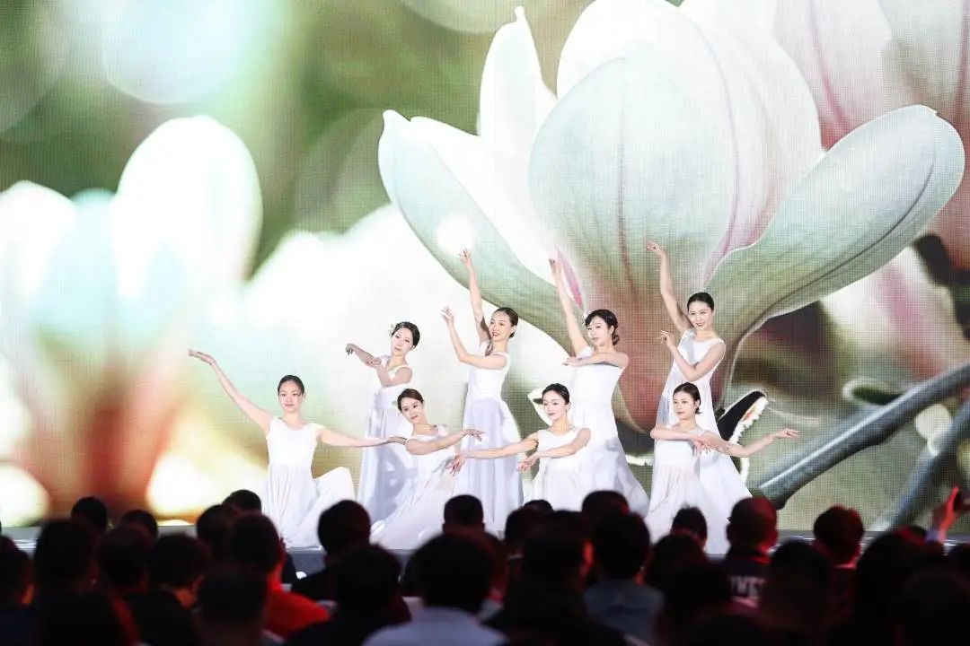 聚焦北纬30度线 “茅台1935·寻道中国”第三季在上海启动