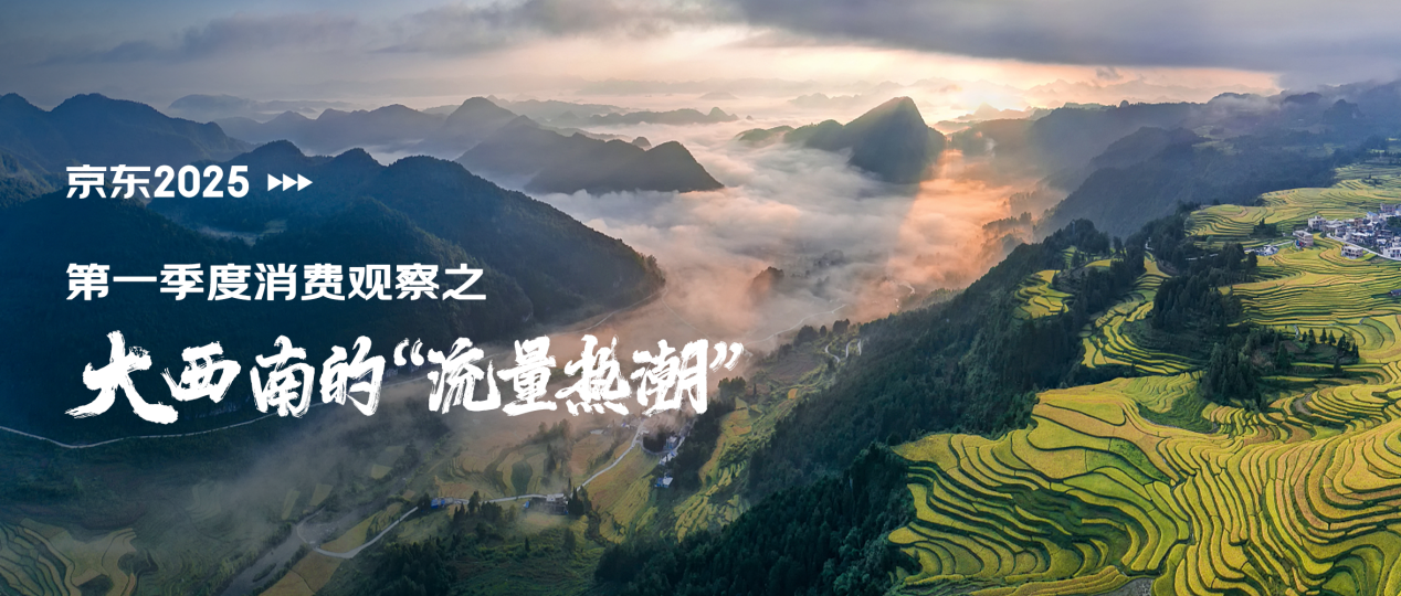 京东一季度消费观察：大西南的「流量热潮」