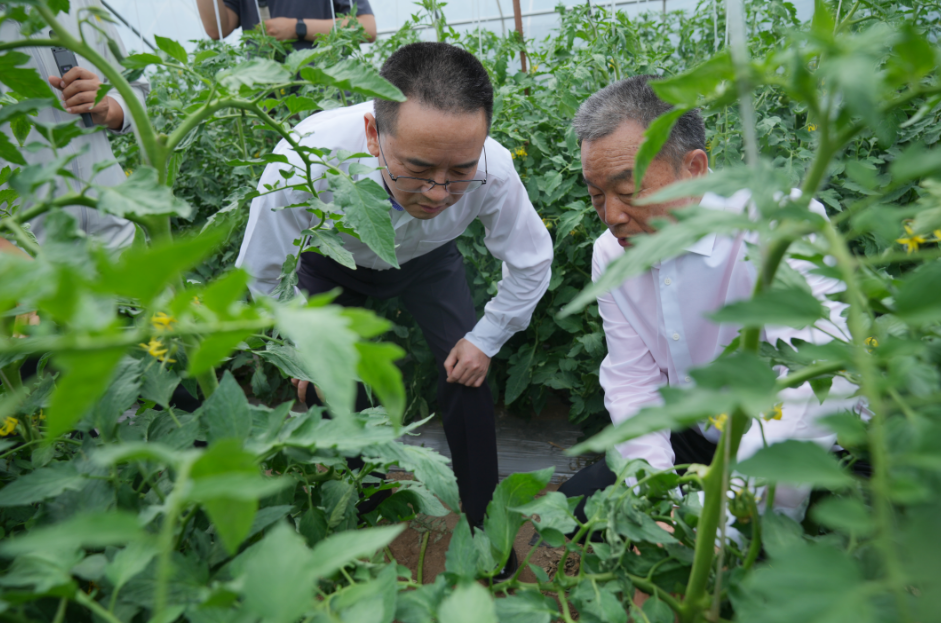 茅台释放厂商关系新信号：我们需要什么样的合作伙伴
