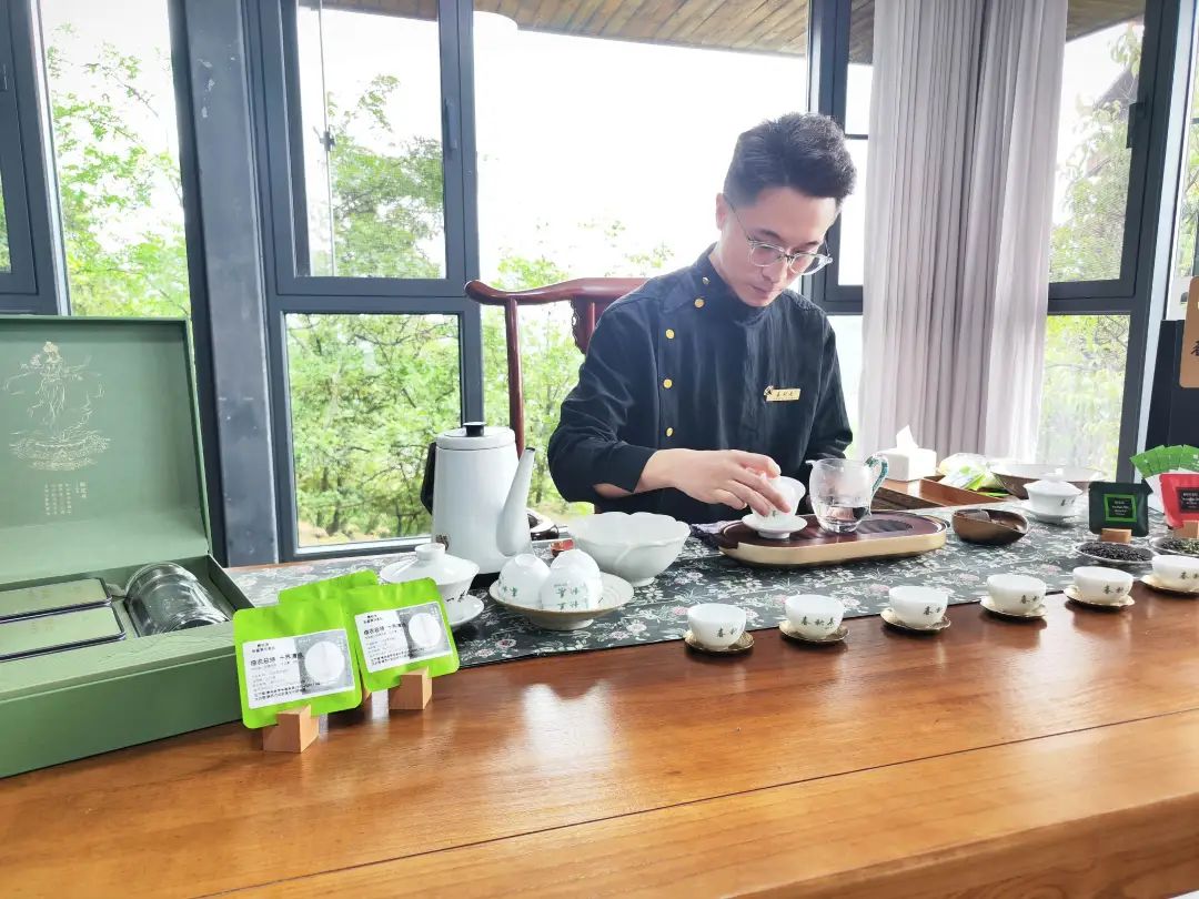 山海共烹一壶春，禅茶氤氲连世界——2025贵州新茶品鉴会启幕巢凤禅寺
