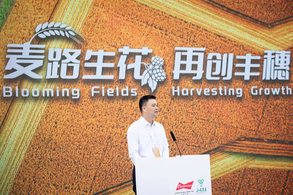 麦路生花，再创丰穗：科技智育高质啤麦酒花，百威中国与江苏农垦共创丰穗