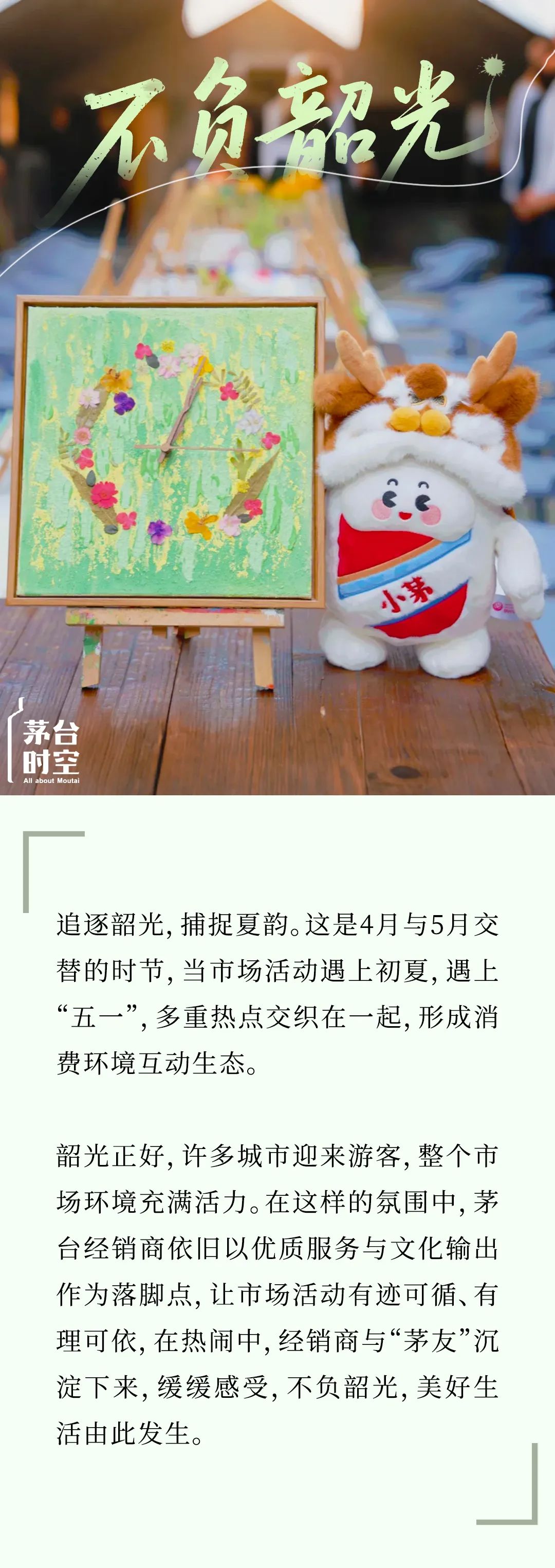 春夏之间，“茅友”相聚，不负韶光