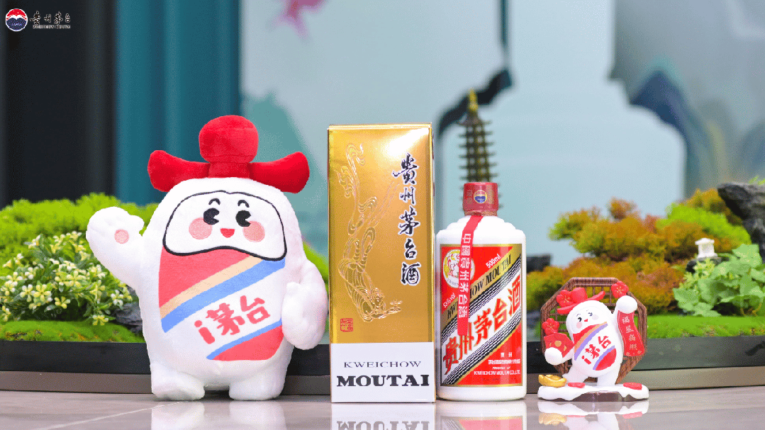 春夏之间，“茅友”相聚，不负韶光