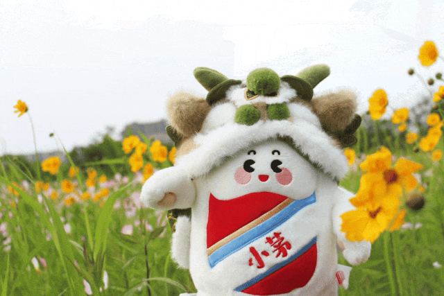 春夏之间，“茅友”相聚，不负韶光