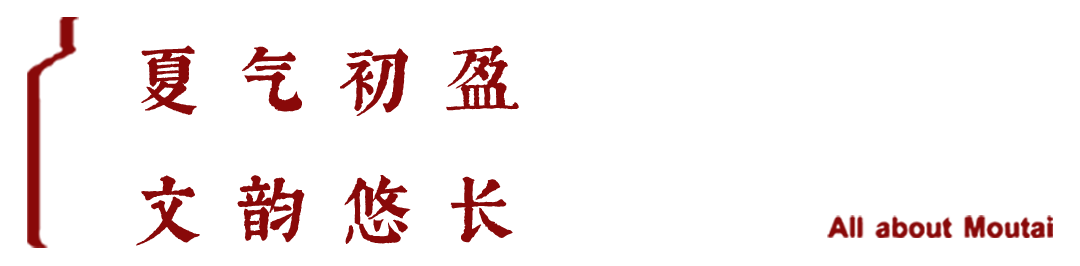 春夏之间，“茅友”相聚，不负韶光