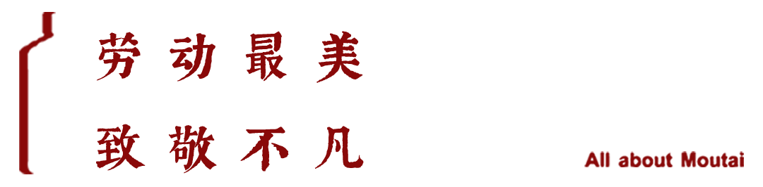 春夏之间，“茅友”相聚，不负韶光