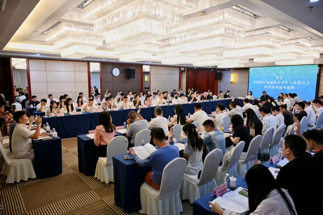 祝贺！贵州省绿茶品牌发展促进会代表当选中茶协青工委首届委员
