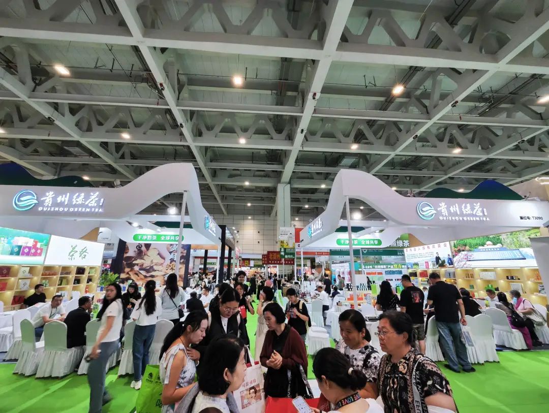 黔茶泉涌 香动齐鲁——贵州绿茶展团济南茶博会第三日热度攀升