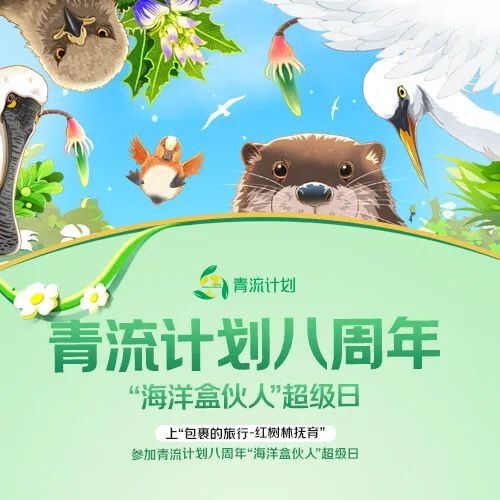 青流八载，绿动未来！青流计划加入全球万亿棵树倡议，首创“购物即种树”消费新模式