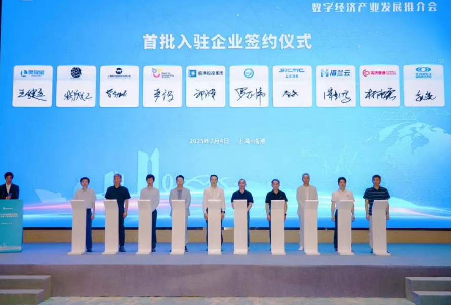 聚焦创新合作，这场大会为临港数字经济产业注入新活力