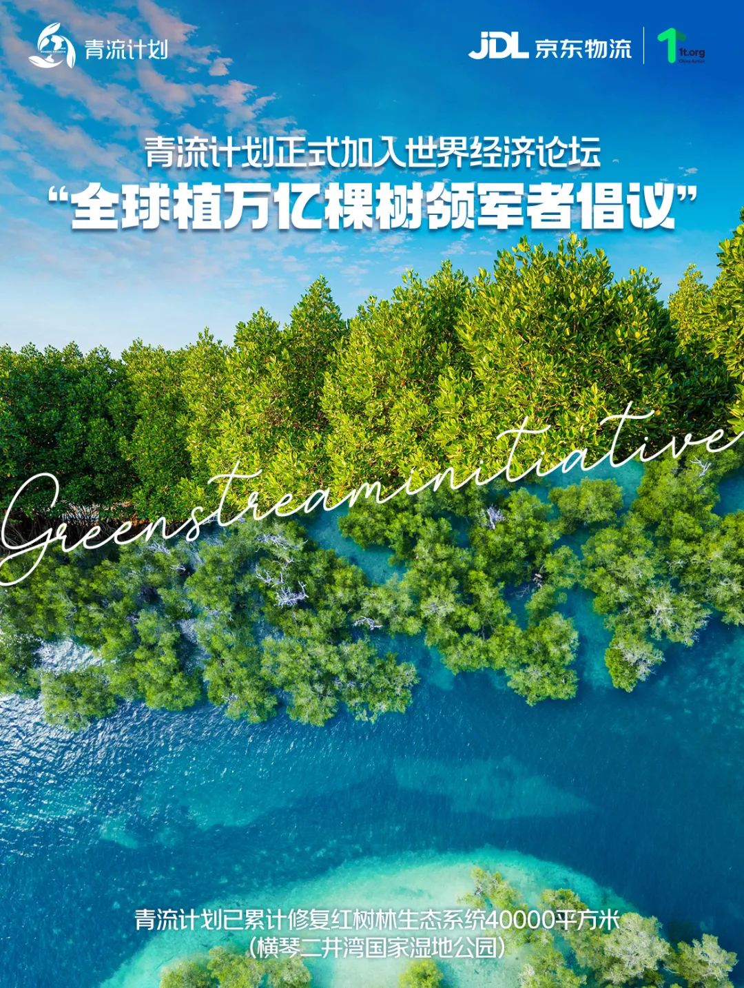 青流八载，绿动未来！青流计划加入全球万亿棵树倡议，首创“购物即种树”消费新模式