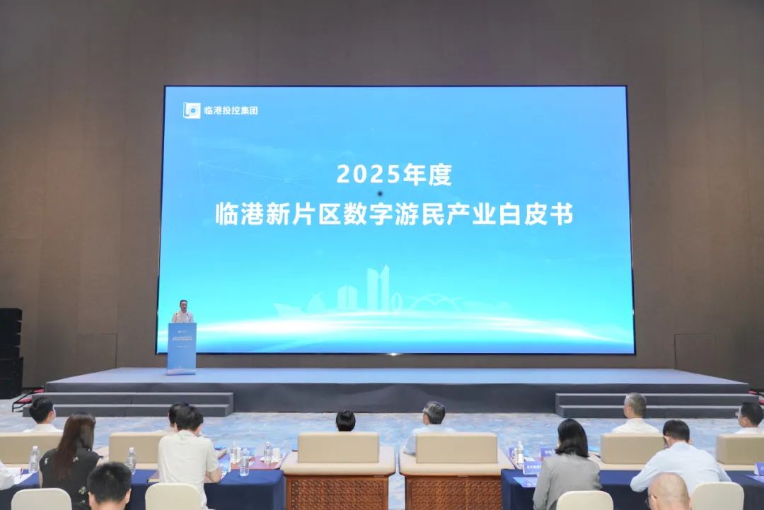 聚焦创新合作，这场大会为临港数字经济产业注入新活力