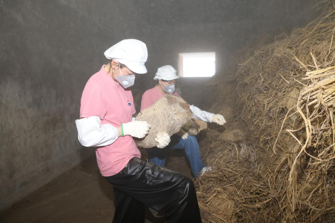 2025年度茅台文化体验馆宣讲师暨专职品饮师培训圆满结束