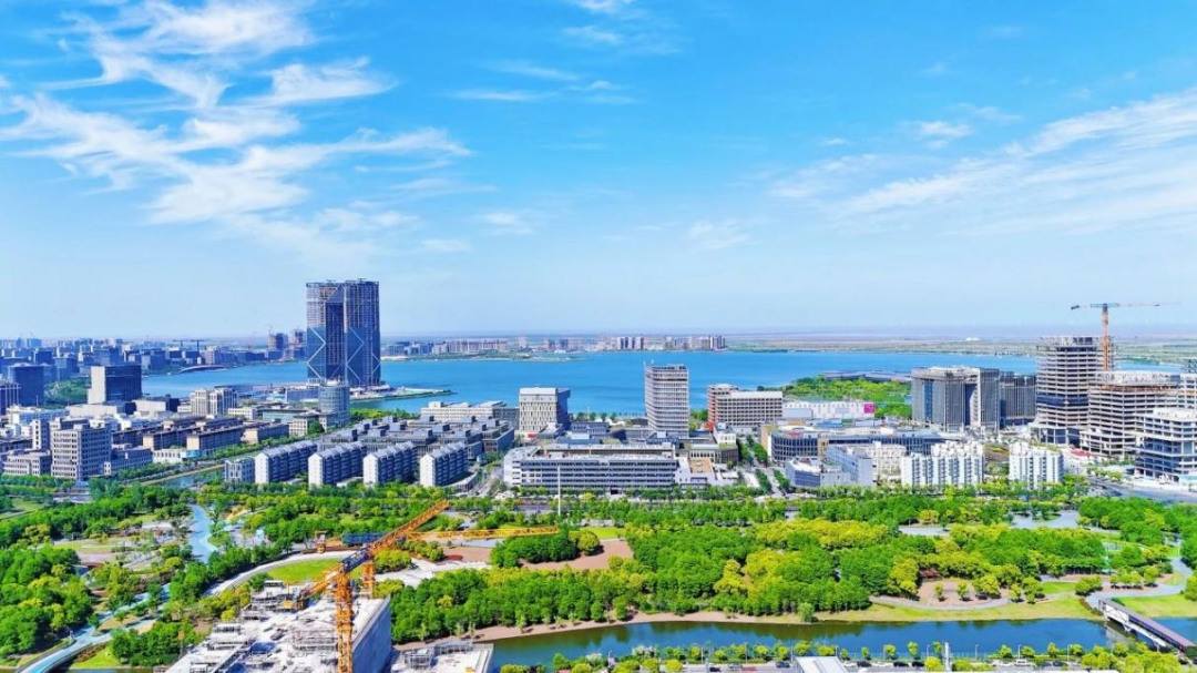 打造绿色生态示范圈“四新”名片，临港新片区绿色生态先行示范区入选“好城区”优秀案例