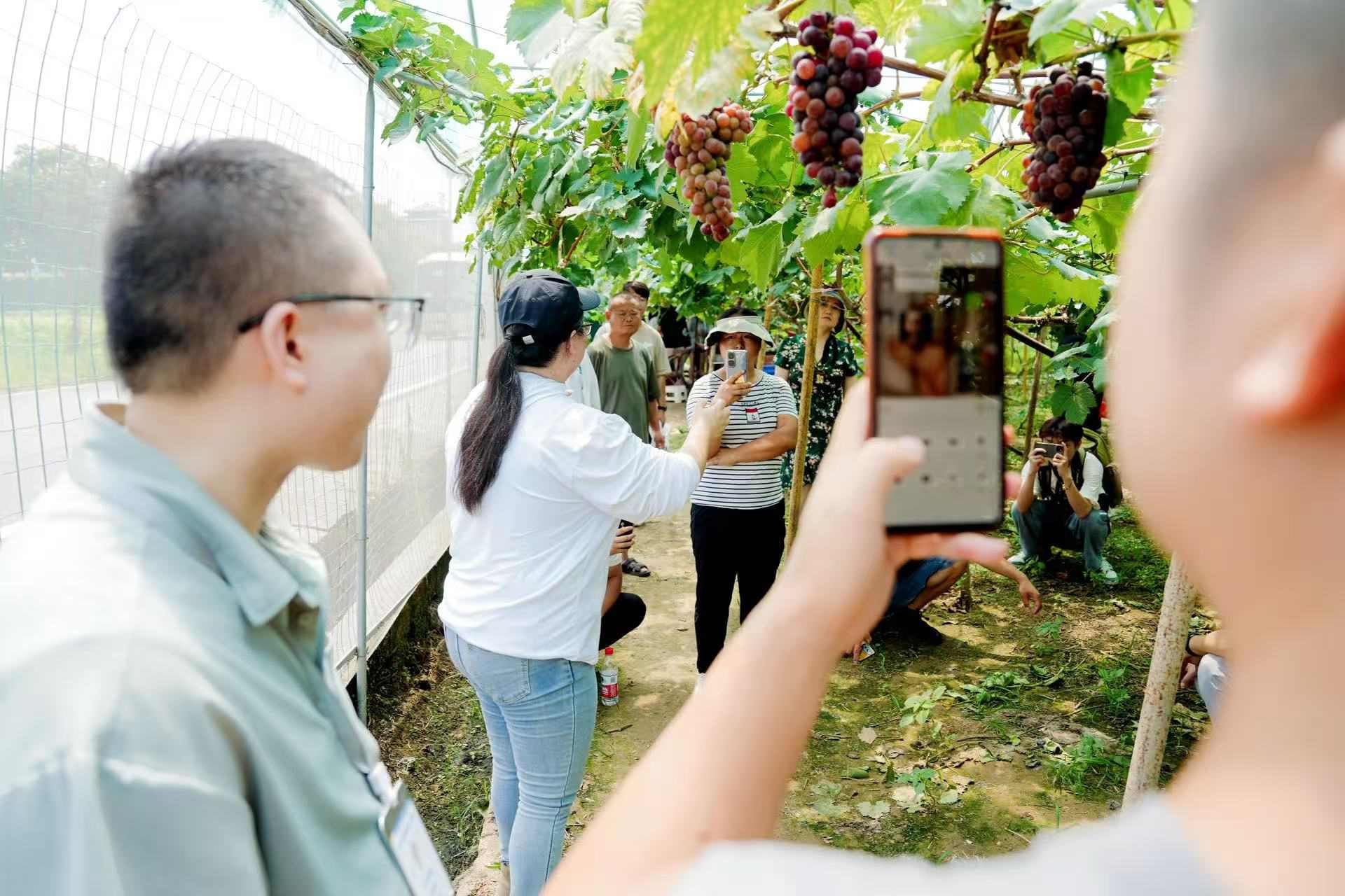 玉屏产业班湖南实训圆满落幕 助力农产从业者技能升级