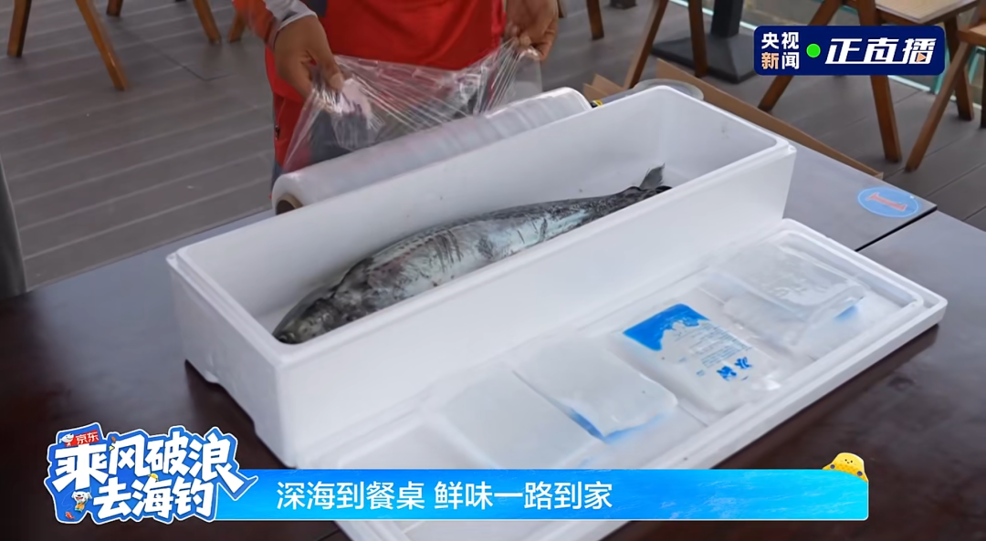 亮相央视！京东快递助力獐子岛海钓，产地海鲜最快24小时鲜达全国