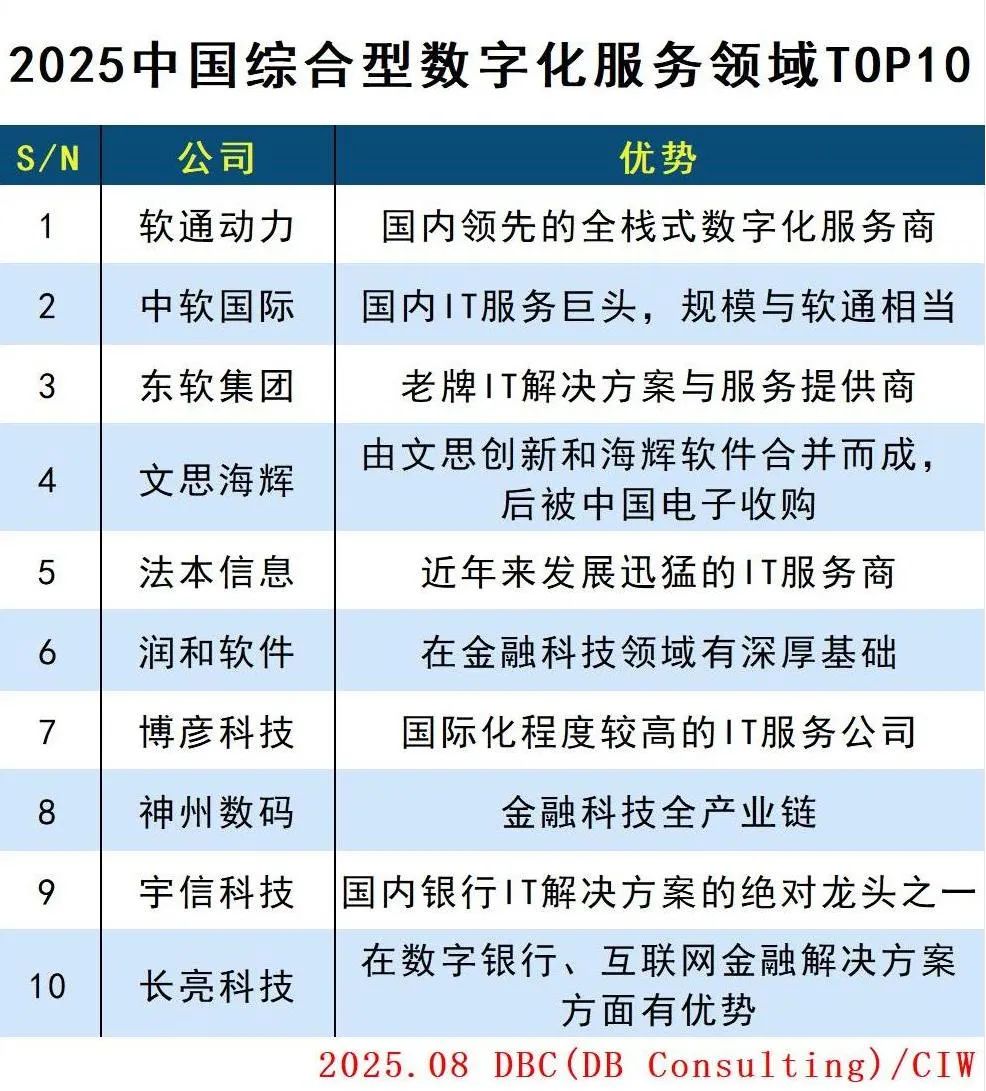 中国综合型数字化服务领域TOP10